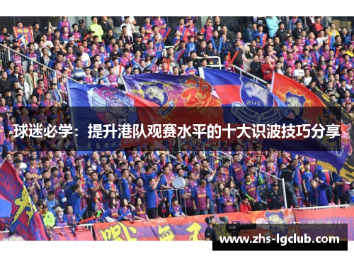 球迷必学：提升港队观赛水平的十大识波技巧分享